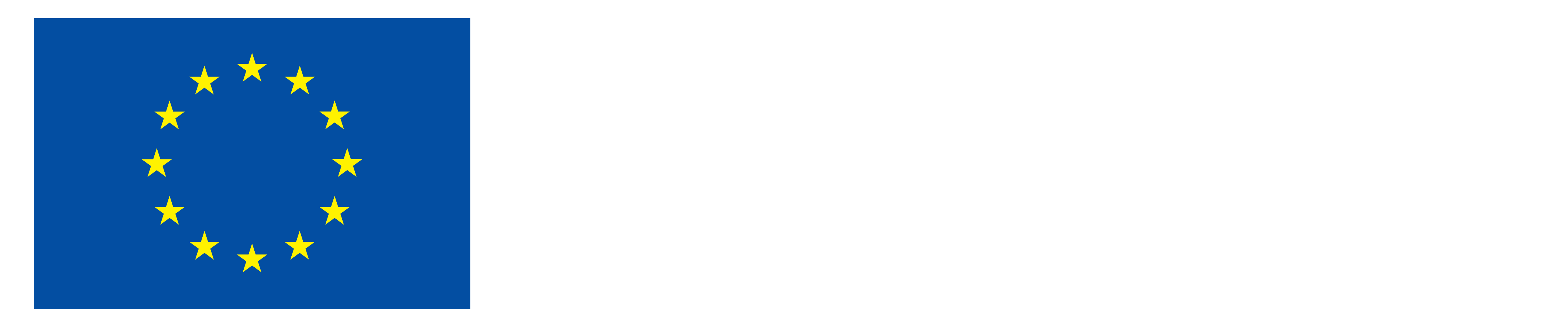 Co-funded by the European Union