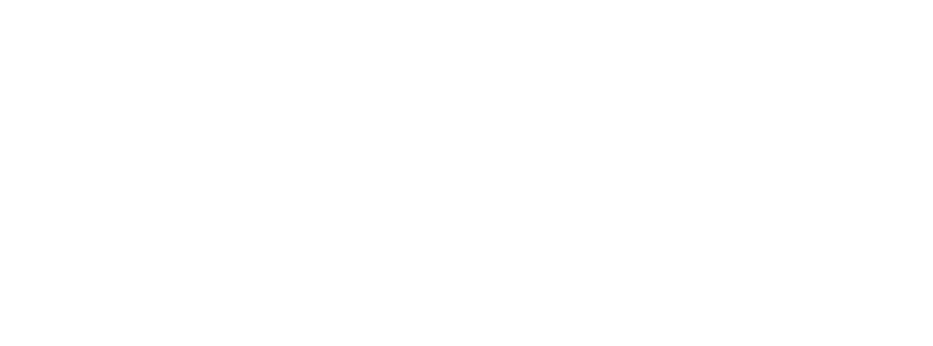 Leading Social Services